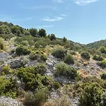 Nediljka - Dolac,