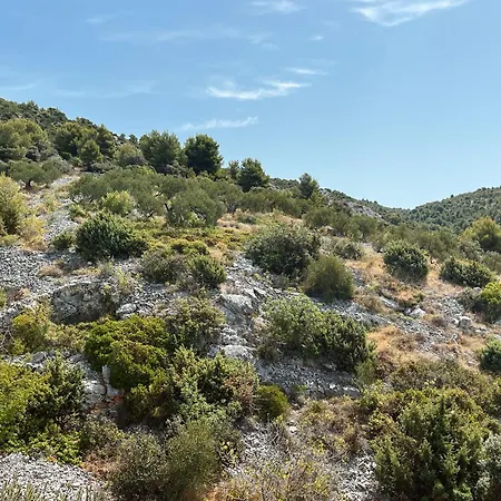 Nediljka - Dolac,